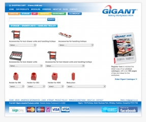 Added ecommerce buying power to enhanced the Gigant website