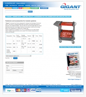 Added ecommerce buying power to enhanced the Gigant website