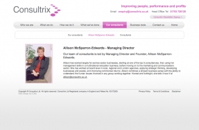 Attractive website design for business strategists Consultrix