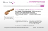 Attractive website design for business strategists Consultrix